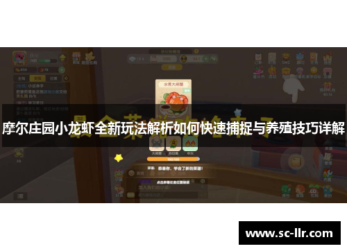 摩尔庄园小龙虾全新玩法解析如何快速捕捉与养殖技巧详解