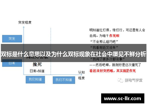 双标是什么意思以及为什么双标现象在社会中屡见不鲜分析