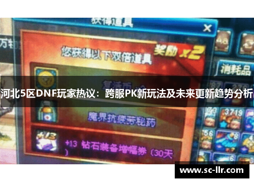 河北5区DNF玩家热议：跨服PK新玩法及未来更新趋势分析
