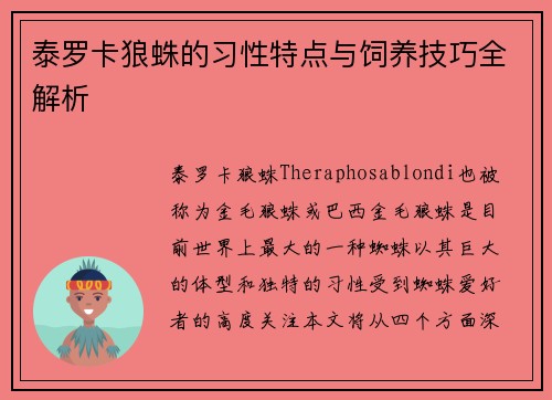 泰罗卡狼蛛的习性特点与饲养技巧全解析