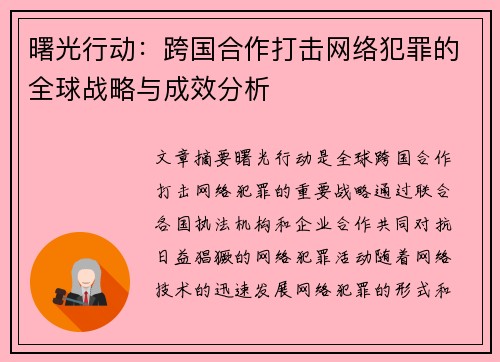 曙光行动：跨国合作打击网络犯罪的全球战略与成效分析